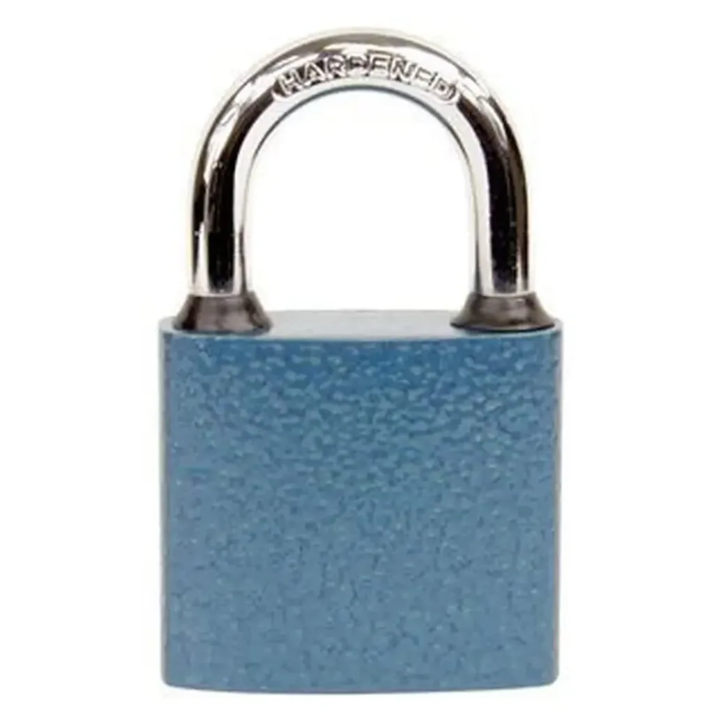 Zámek visací RICHTER OVAL 38